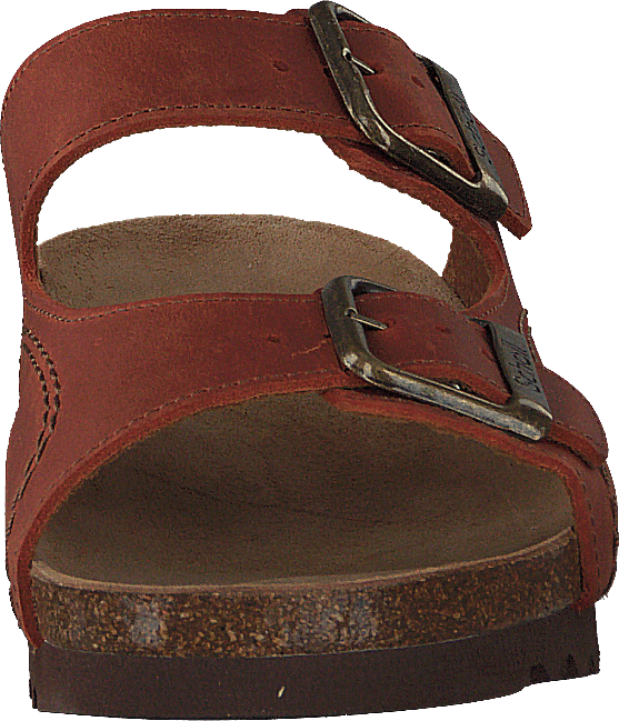 Moldava Rust