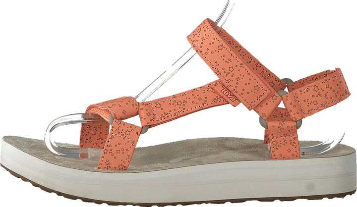 Midform Universal Star Cantaloupe