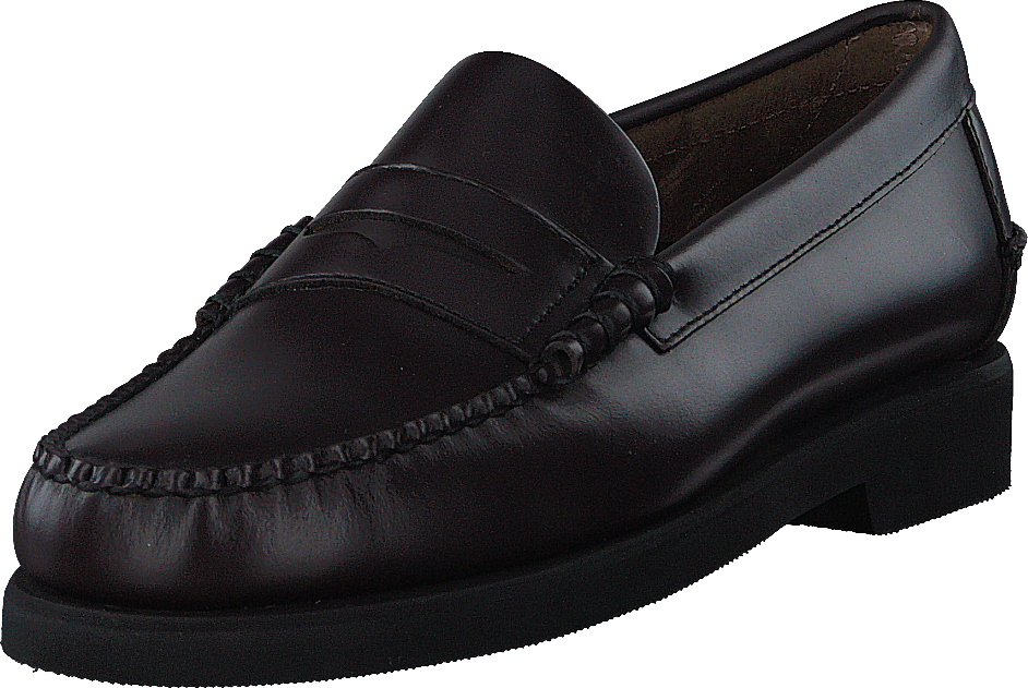 Dan Polaris Dark Brown