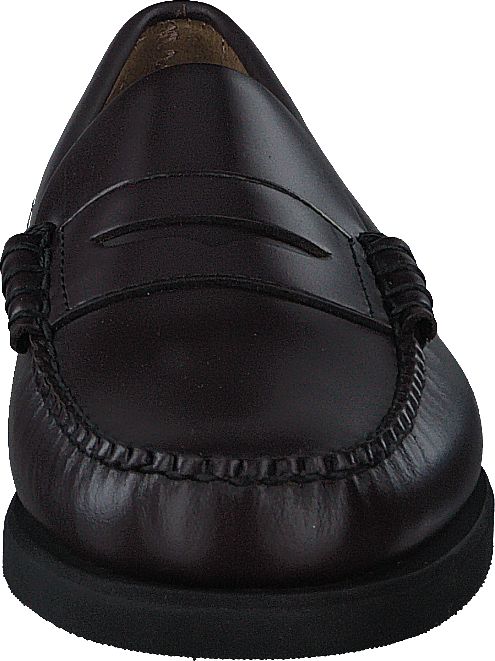 Dan Polaris Dark Brown