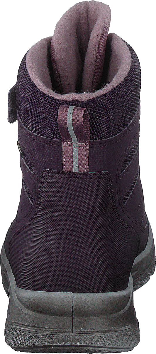 Mars Gore-tex Lila