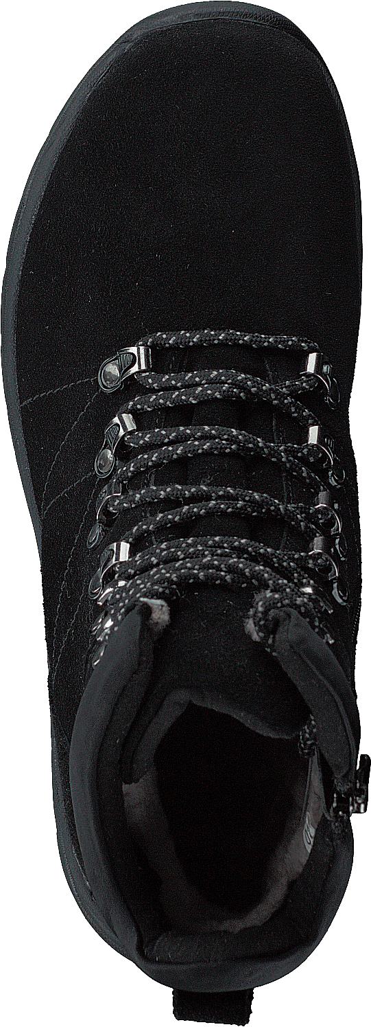 Goldy Studs Black 06