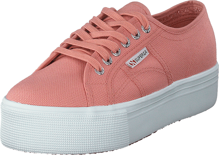 2790 Acotw Linea Rose Hummer