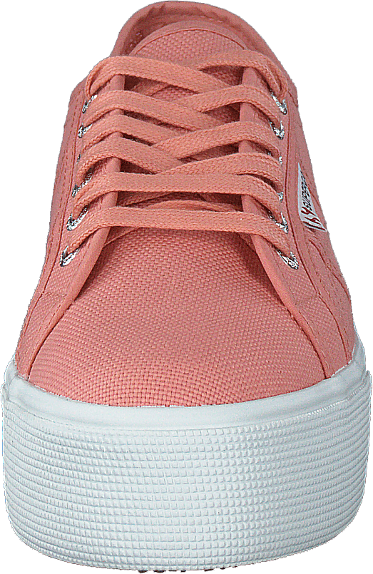 2790 Acotw Linea Rose Hummer
