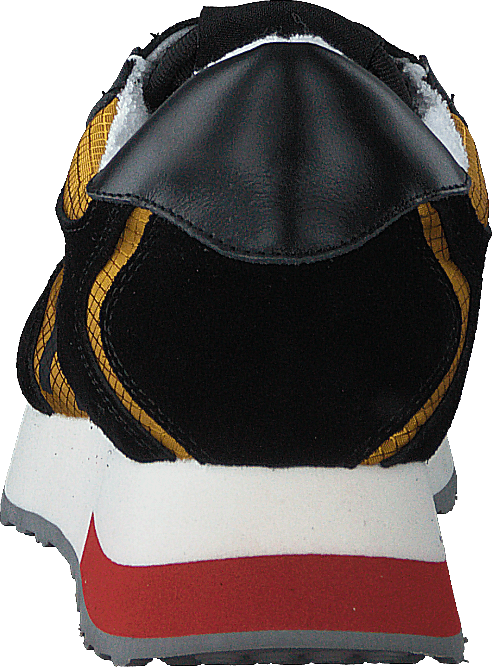Mary Black/ochra