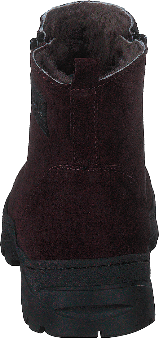 75386-06 Bordo