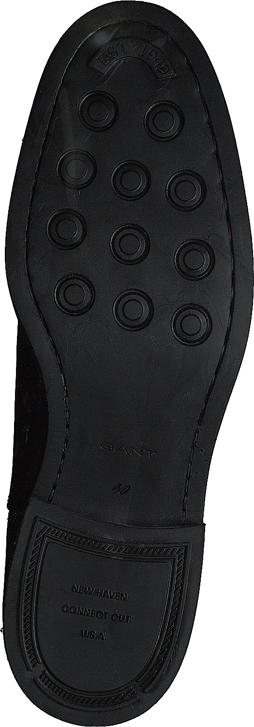 Ashleyy Chelsea Noir