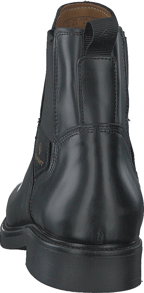 Ashleyy Chelsea Noir