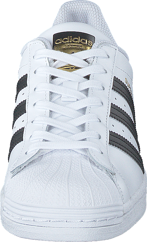 Superstar Ftwwht/cblack/ftwwht