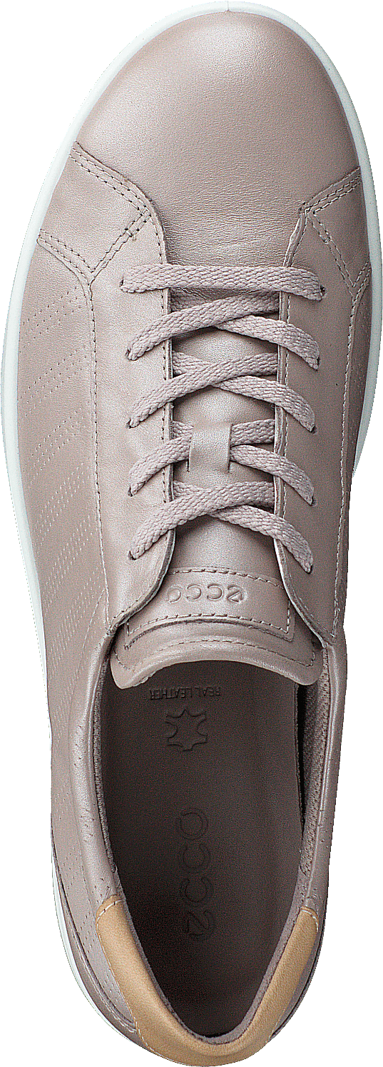 Leisure Grey Rose/metallic Powder