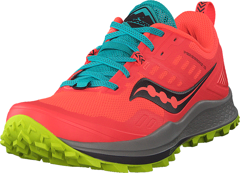 Peregrine 10 Vizired/citron