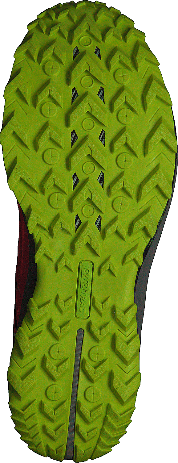 Peregrine 10 Vizired/citron