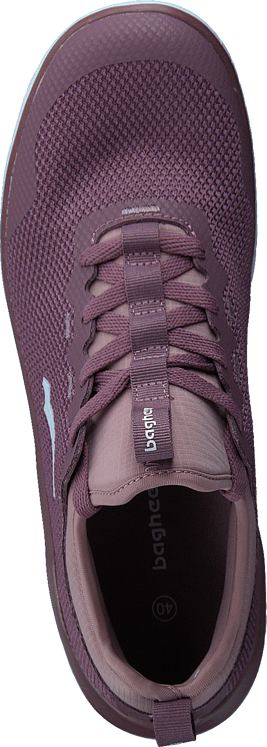 Swift Purple/lavender
