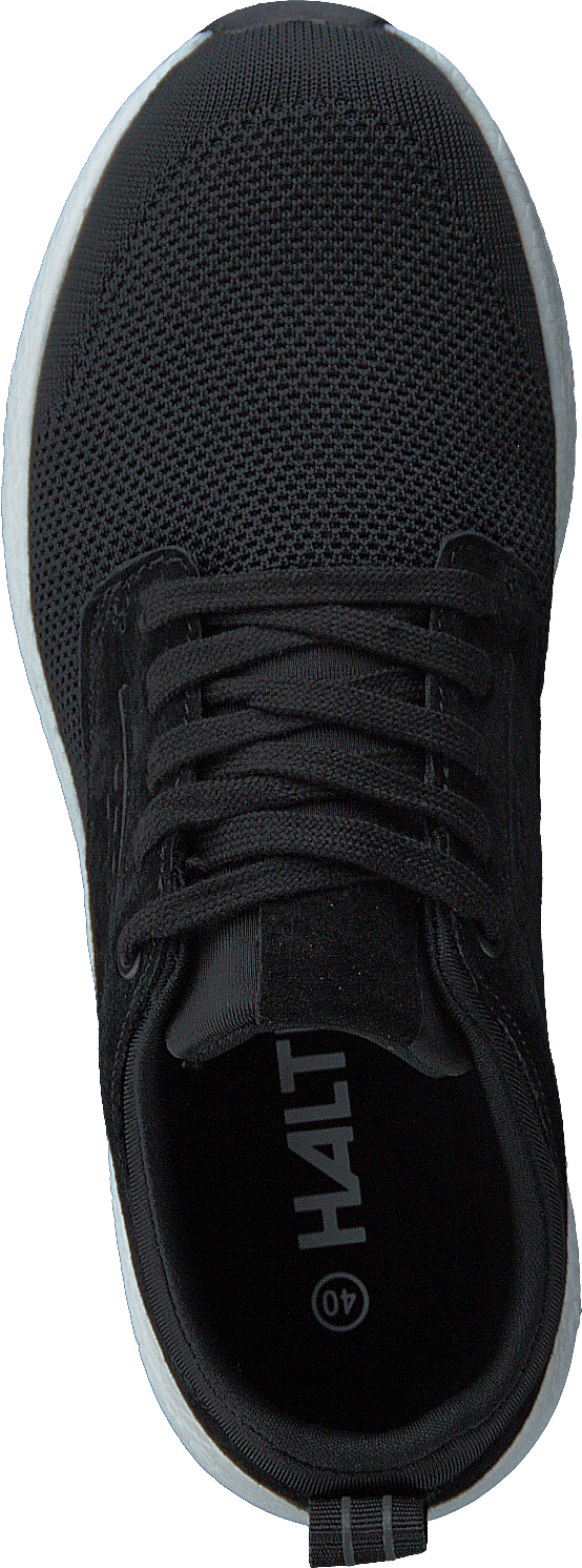 Sahara Low Sneaker Must