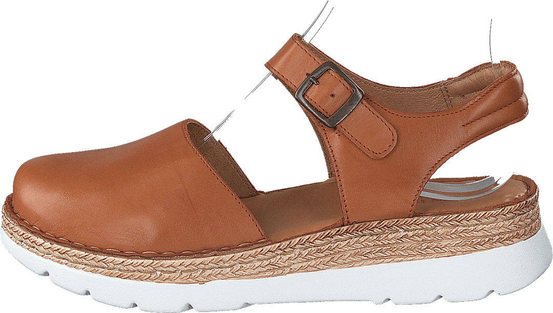 Maya Cognac