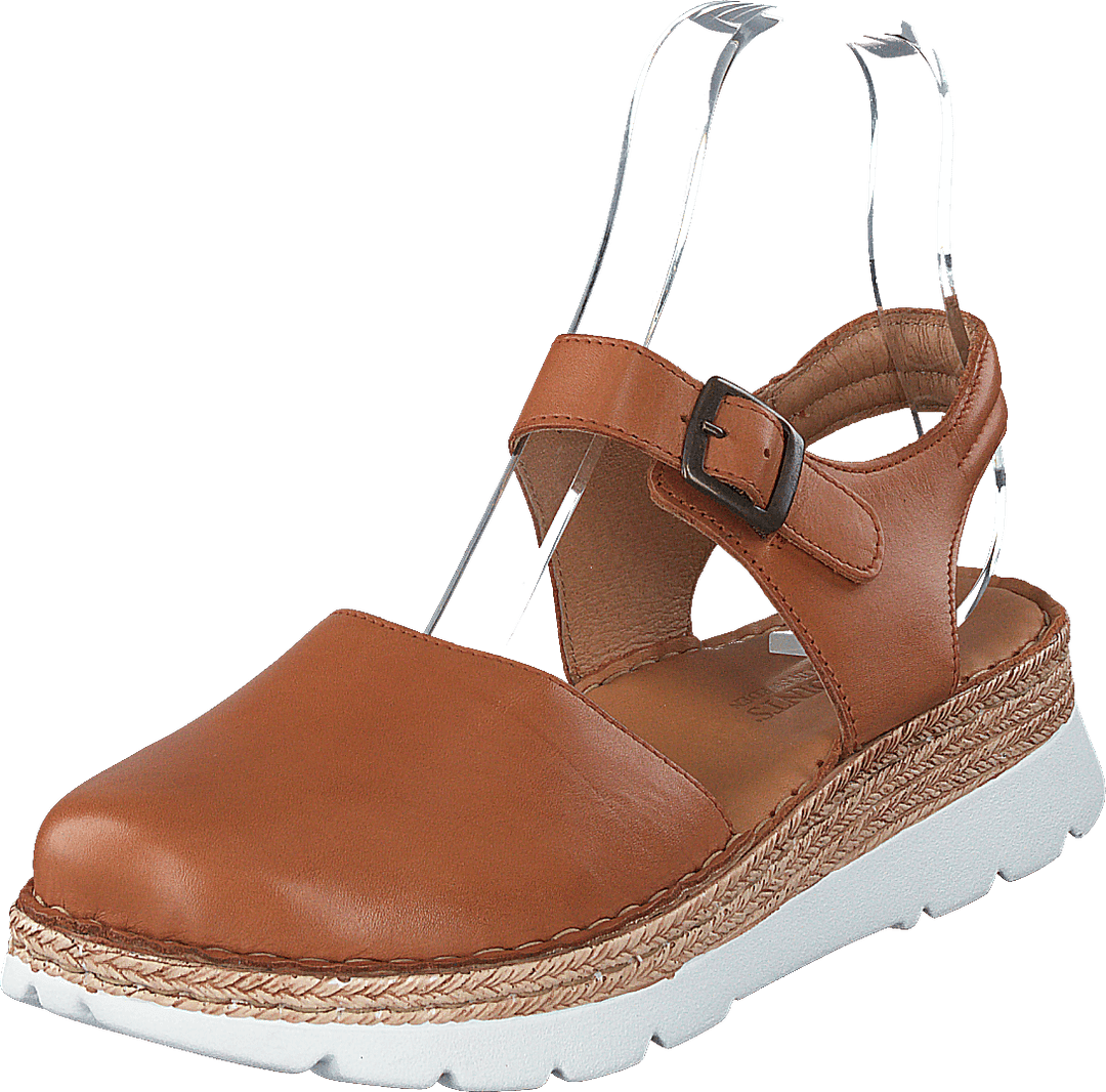Maya Cognac