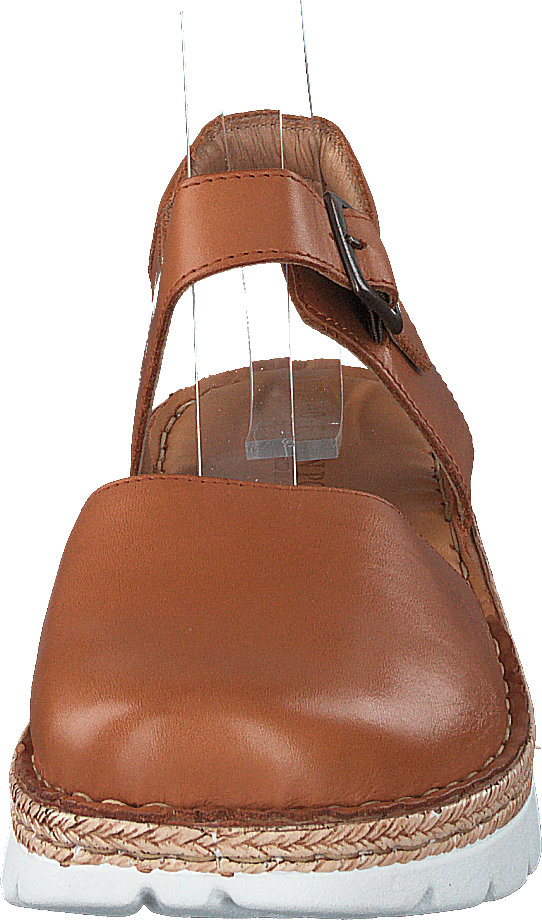 Maya Cognac