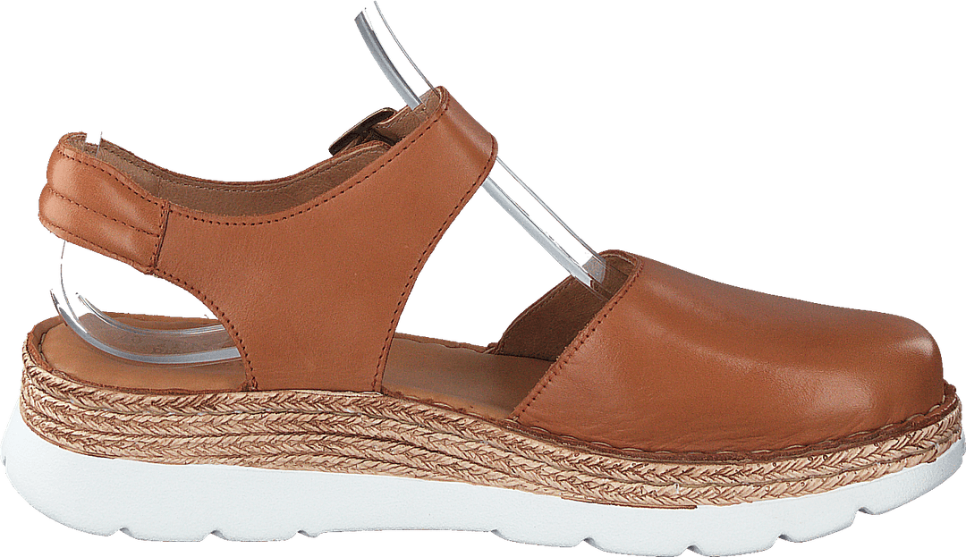 Maya Cognac