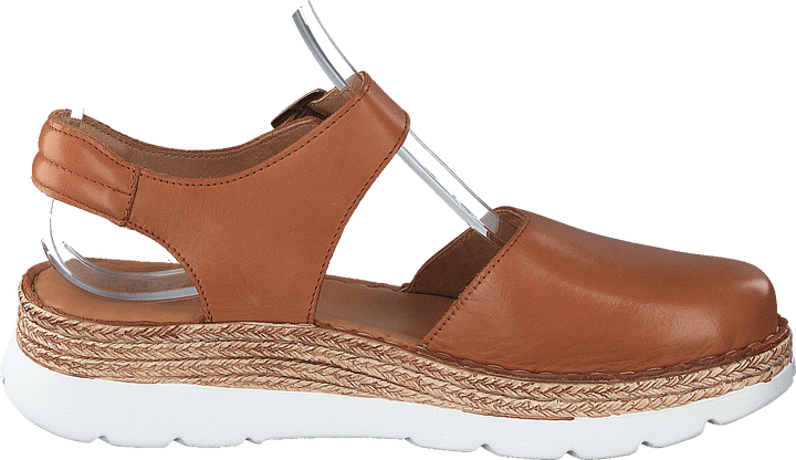 Maya Cognac