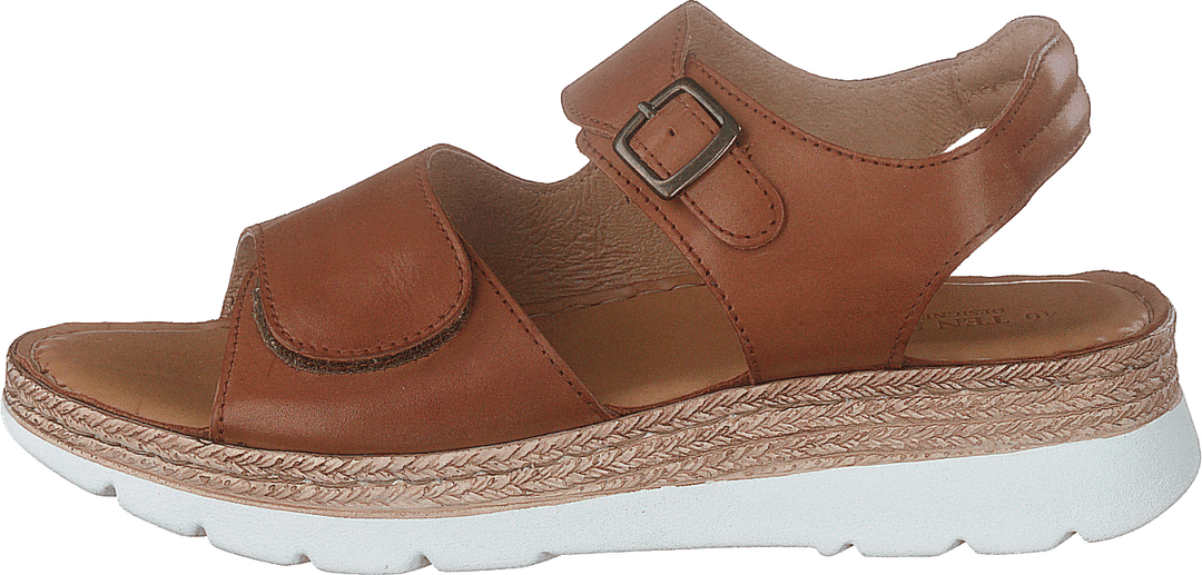 Maya Cognac