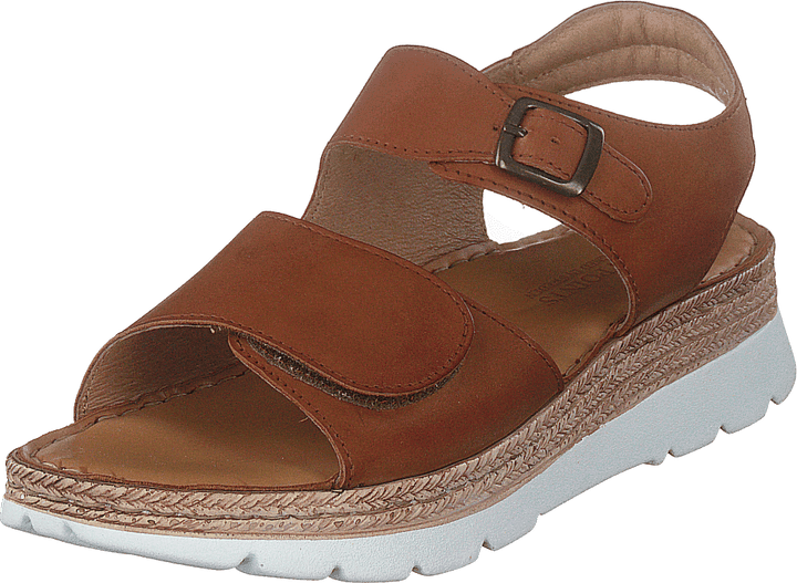 Maya Cognac