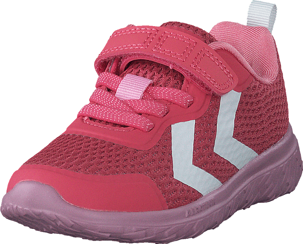 Actus Ml Infant Tea Rose