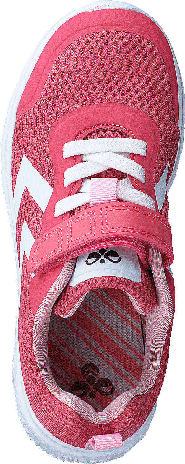 Actus Ml Jr Tea Rose