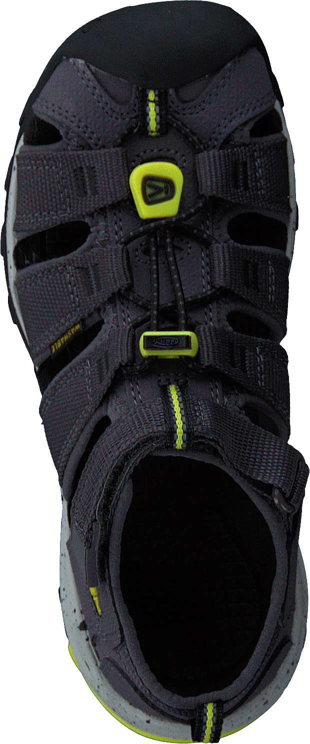 Ke Newport Neo H2 C Kaninchen-e.p Kaninchen-e.primrose