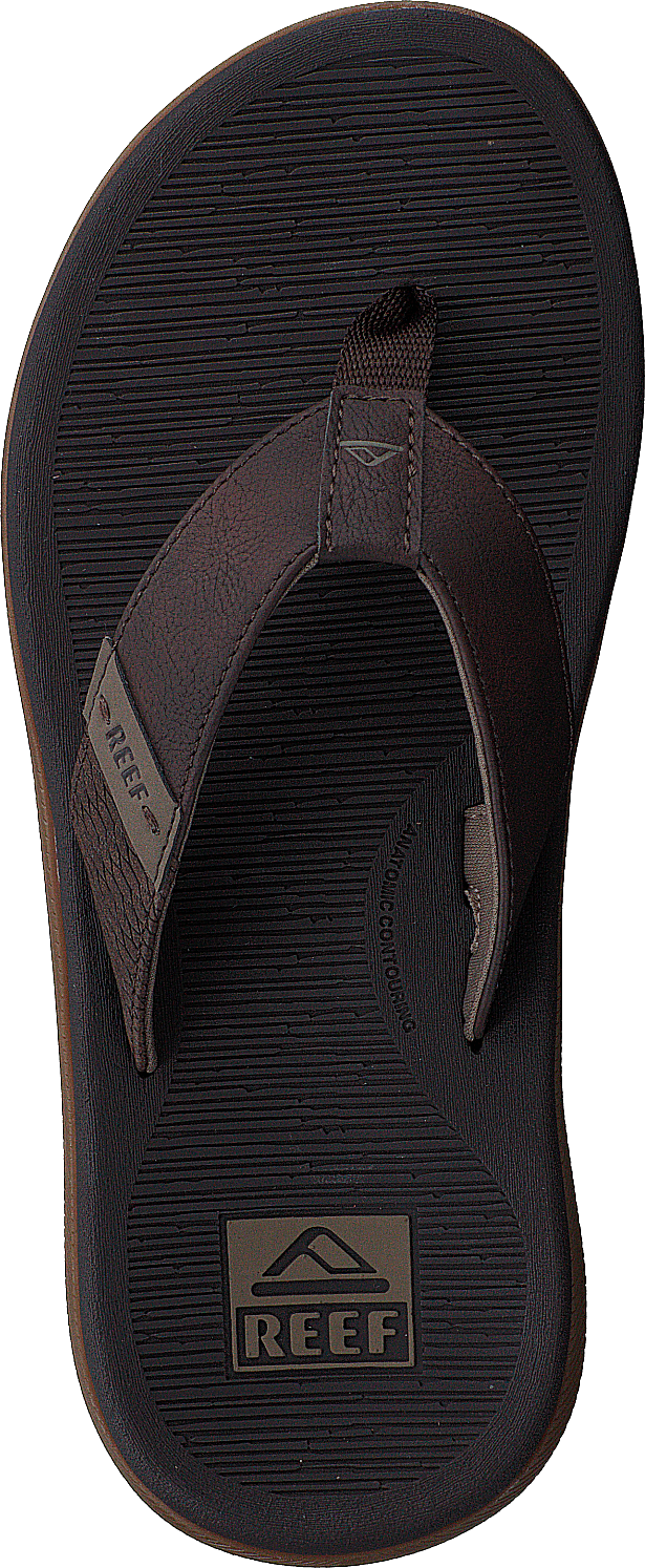 Reef Santa Ana Brown