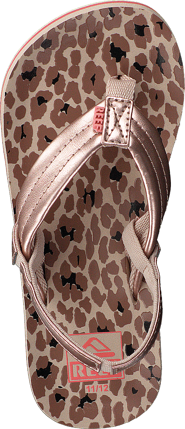 Little Ahi Cheetah