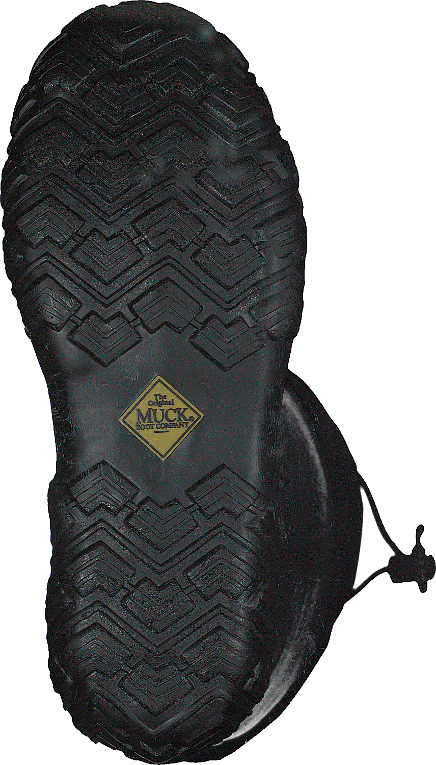 Forager Black