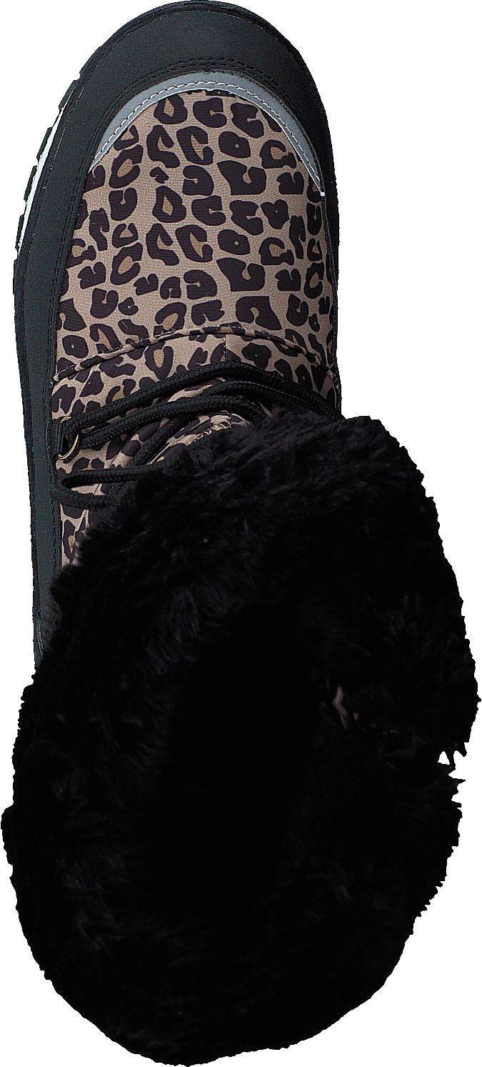 Ysby Leopard