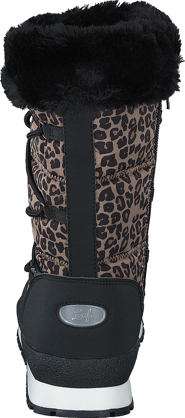 Ysby Leopard
