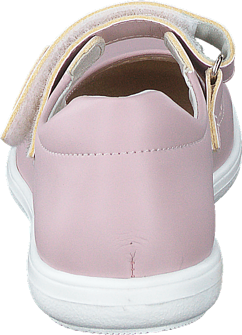 Ammenäs Xc Rosa