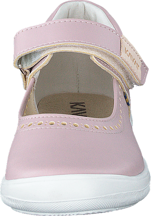 Ammenäs Xc Rosa