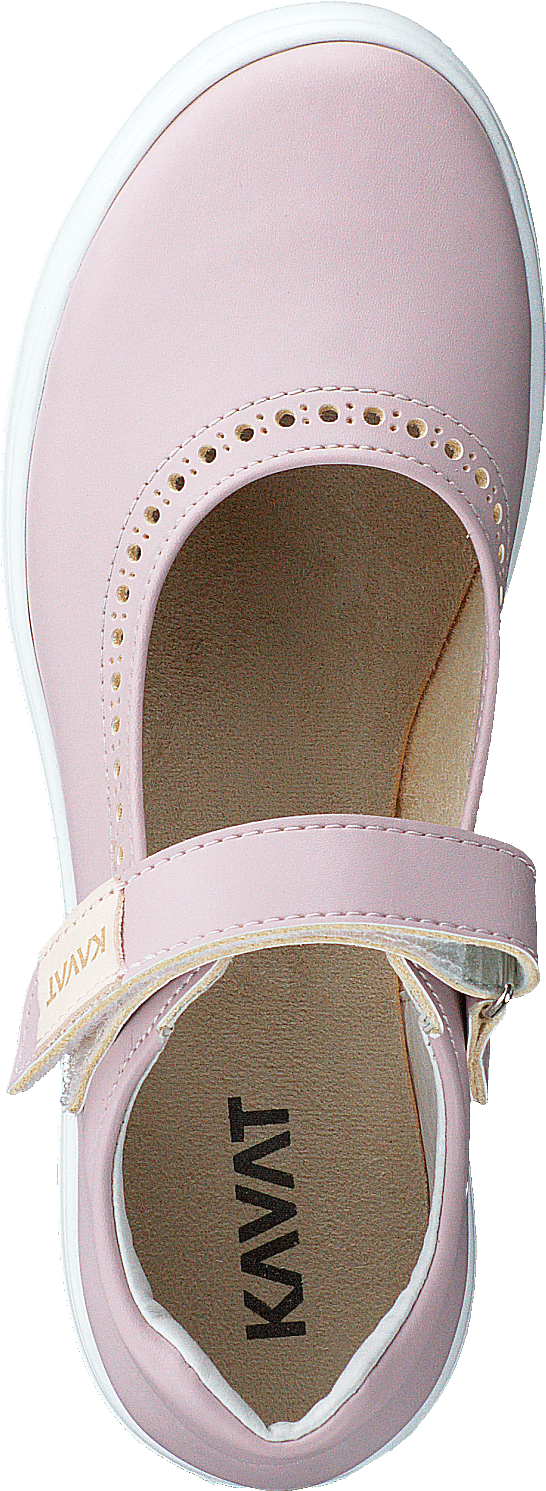 Ammenäs Xc Rosa