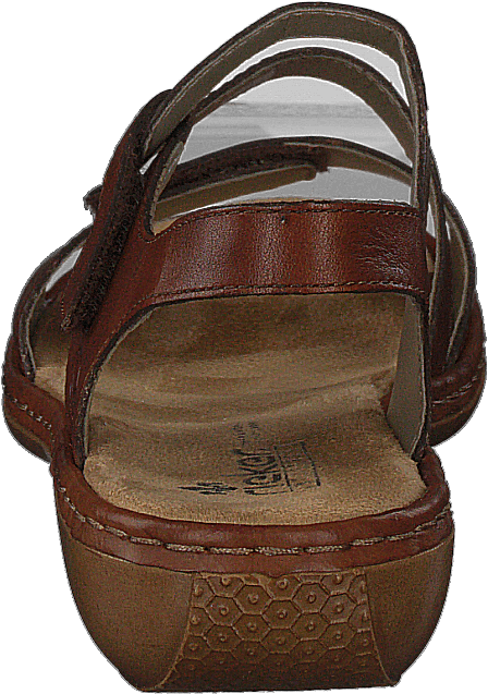 659c7-24 Bruin