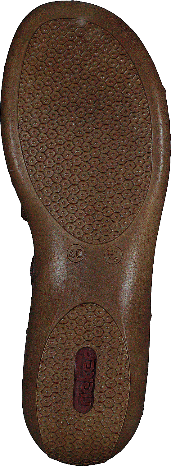 659c7-24 Bruin