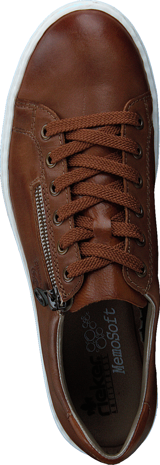 L59l1-25 Brown