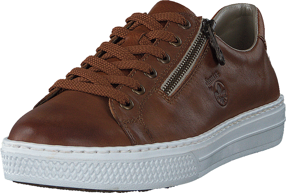 L59l1-25 Brown