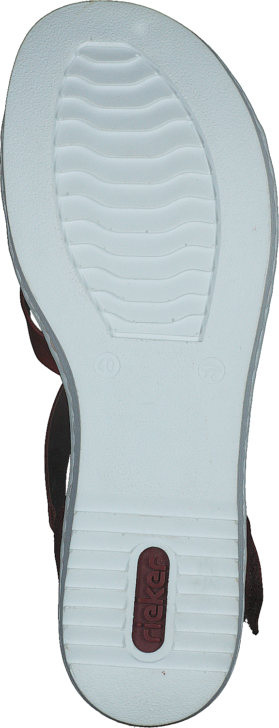 63663-24 Brun