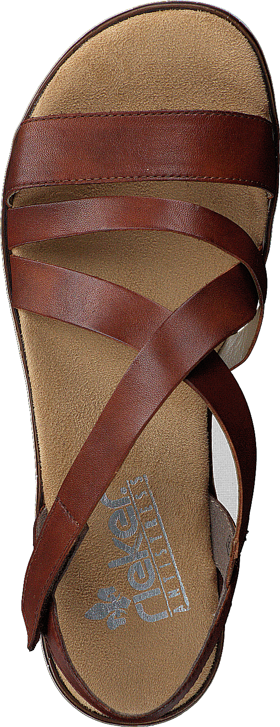 63663-24 Brun