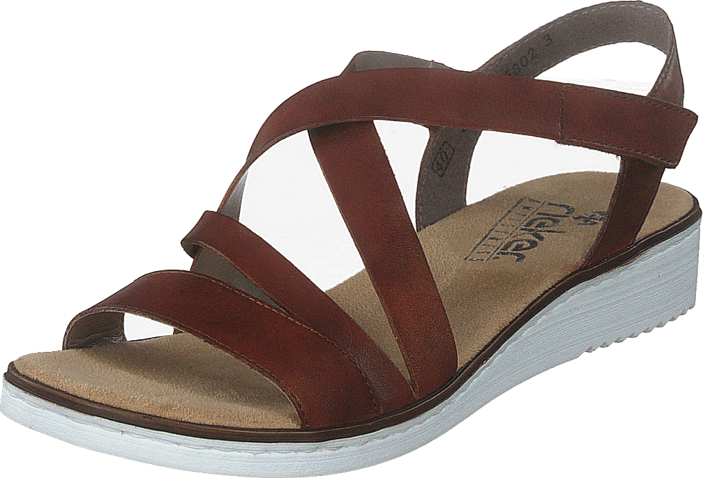 63663-24 Brun