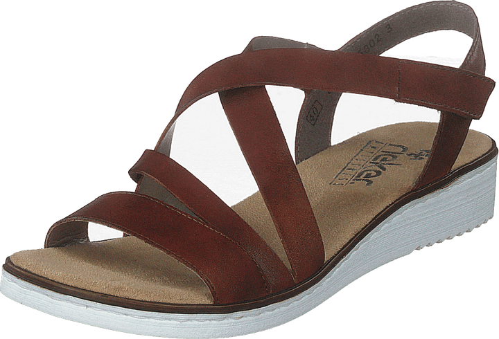 63663-24 Brun