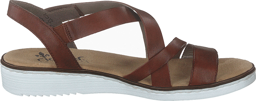 63663-24 Brun