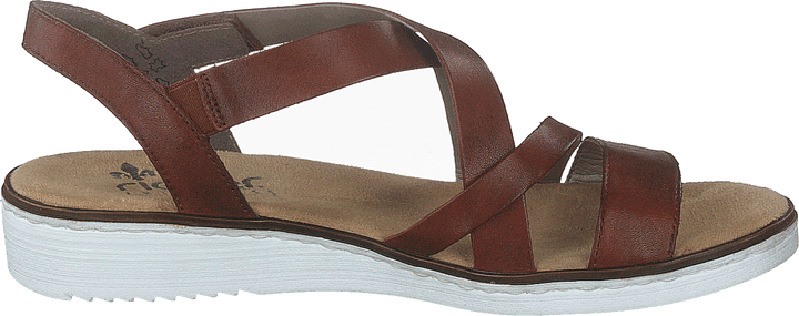 63663-24 Brun