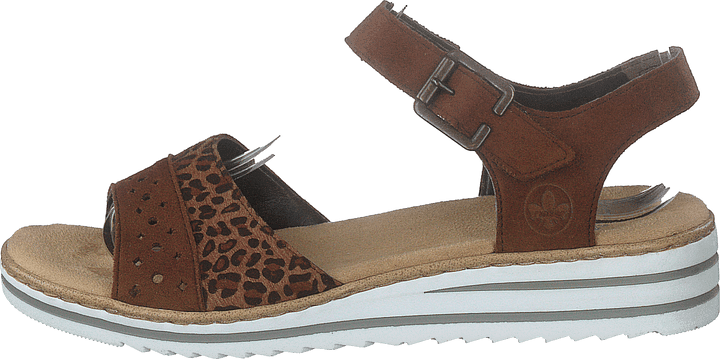 V0626-24 Leo/brown