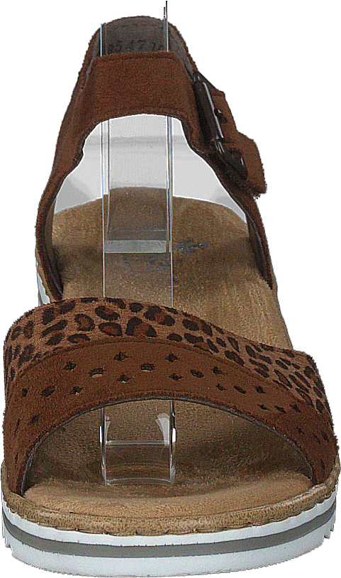 V0626-24 Leo/brown