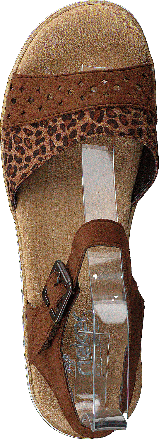 V0626-24 Leo/brown