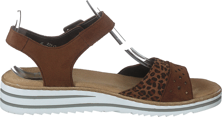 V0626-24 Leo/brown